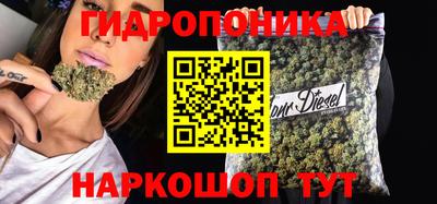 стафф Лесосибирск