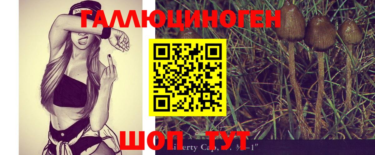 Галлюциногенные грибы GOLDEN TEACHER Заволжье